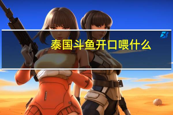 泰国斗鱼开口喂什么