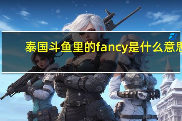 泰国斗鱼里的fancy是什么意思