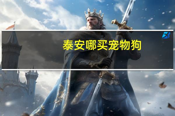 泰安哪买宠物狗