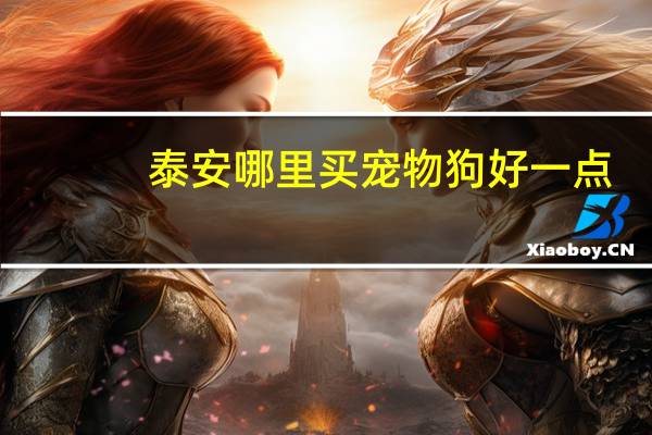 泰安哪里买宠物狗好一点