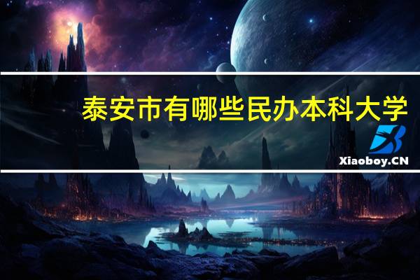 泰安市有哪些民办本科大学