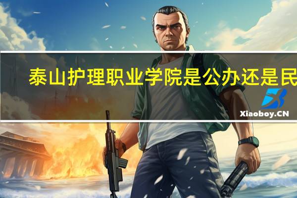 泰山护理职业学院是公办还是民办