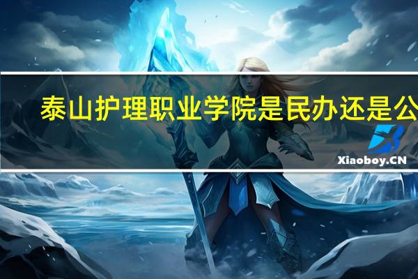 泰山护理职业学院是民办还是公办