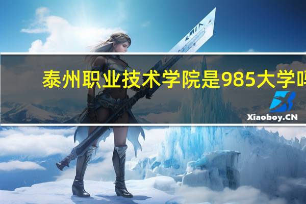 泰州职业技术学院是985大学吗