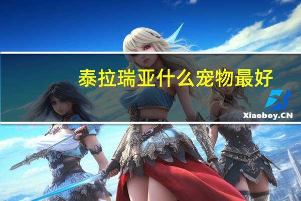 泰拉瑞亚什么宠物最好