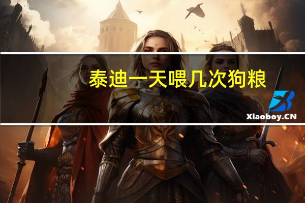 泰迪一天喂几次狗粮
