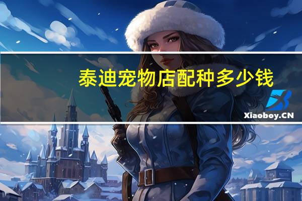 泰迪宠物店配种多少钱