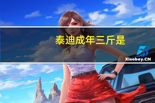 泰迪成年三斤是