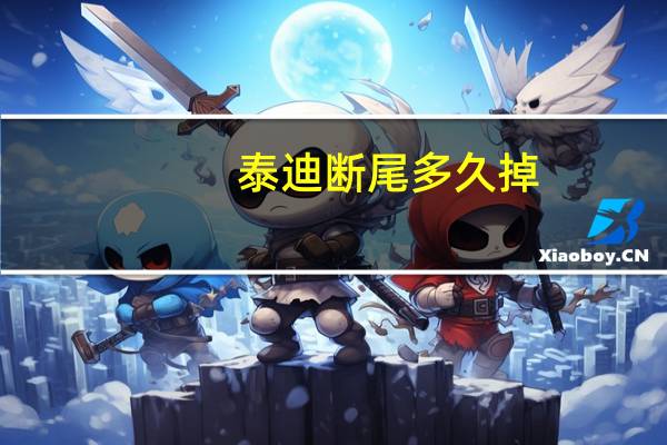 泰迪断尾多久掉（泰迪断尾一般多少钱）