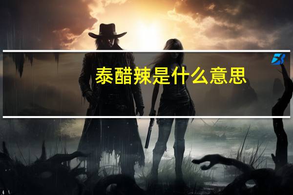 泰醋辣是什么意思