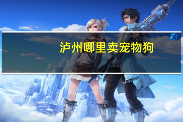 泸州哪里卖宠物狗
