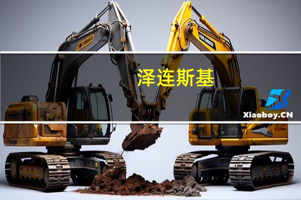 泽连斯基：黑海粮食外运协议终止后 首艘民用船只通过黑海临时走廊