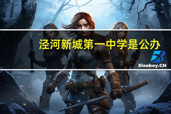 泾河新城第一中学是公办
