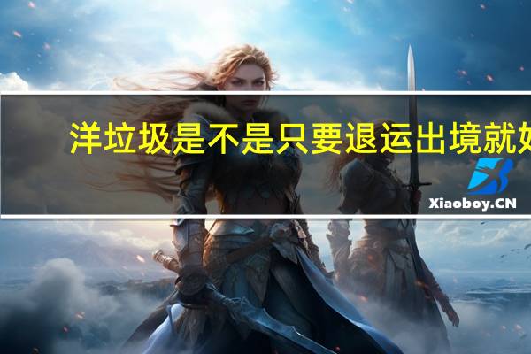 洋垃圾是不是只要退运出境就好（洋垃圾变外贸尾单是怎么回事）