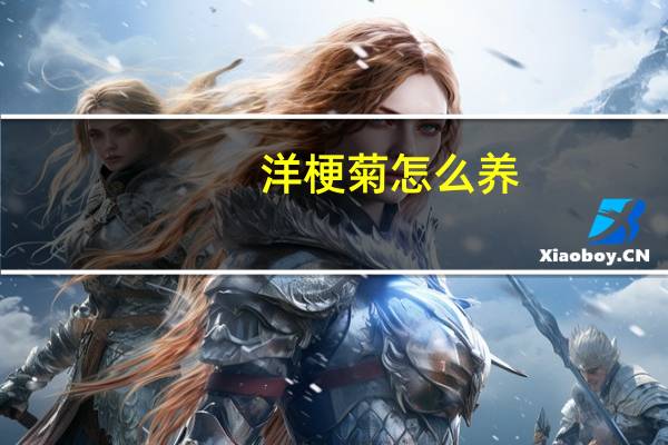 洋梗菊怎么养