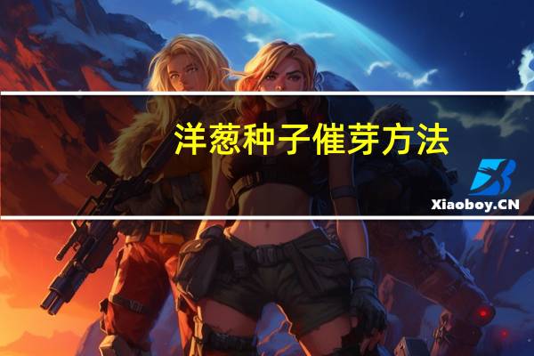 洋葱种子催芽方法