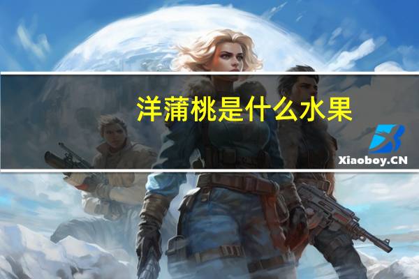 洋蒲桃是什么水果