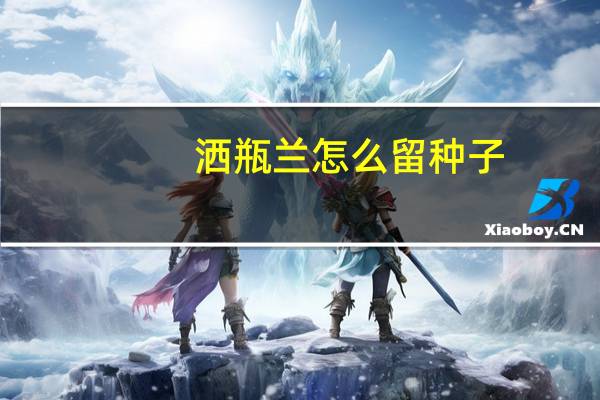 洒瓶兰怎么留种子