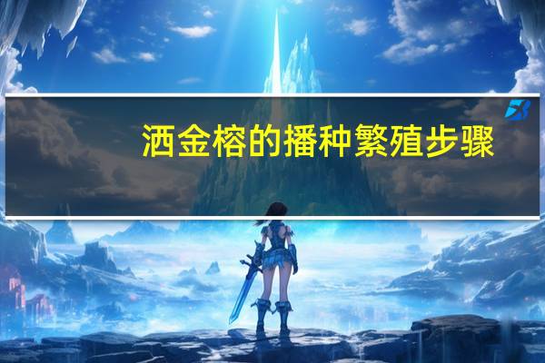 洒金榕的播种繁殖步骤