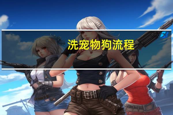 洗宠物狗流程