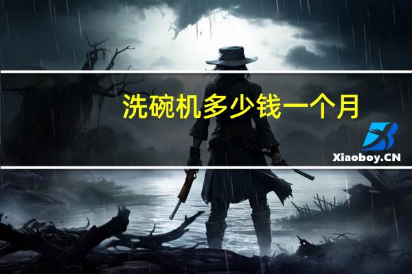 洗碗机多少钱一个月（洗碗机多少钱）