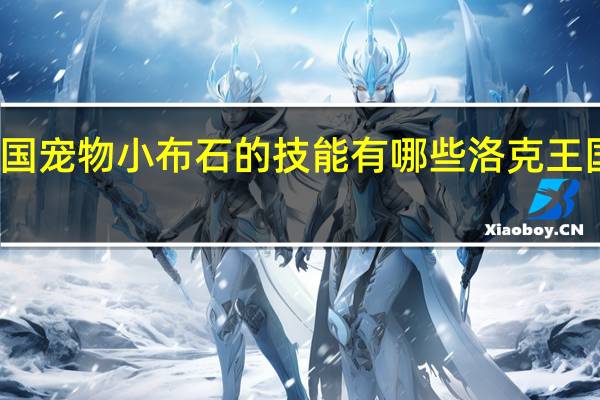 洛克王国宠物小布石的技能有哪些 洛克王国宠物技能石