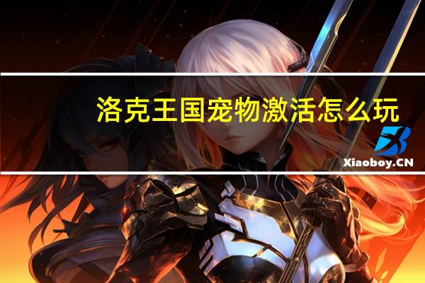 洛克王国宠物激活怎么玩