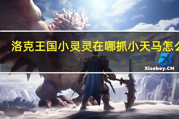 洛克王国小灵灵在哪抓小天马怎么抓（洛克王国小灵灵）
