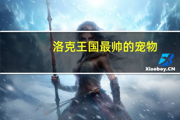 洛克王国最帅的宠物