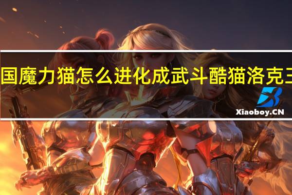 洛克王国魔力猫怎么进化成武斗酷猫 洛克王国多元进化