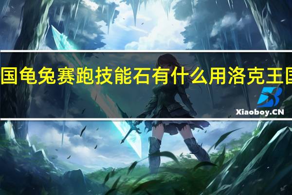 洛克王国龟兔赛跑技能石有什么用 洛克王国宠物技能石