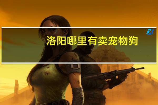 洛阳哪里有卖宠物狗