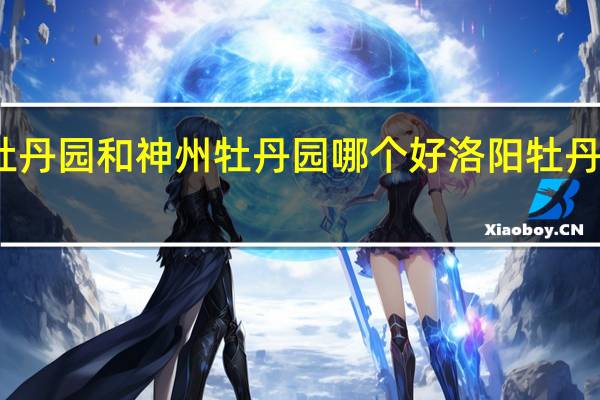 洛阳牡丹园和神州牡丹园哪个好 洛阳牡丹园哪个最好