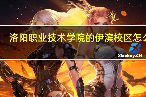 洛阳职业技术学院的伊滨校区怎么样,环境如何