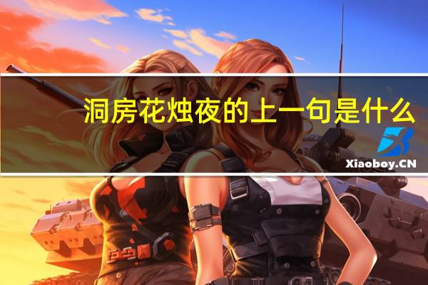 洞房花烛夜的上一句是什么