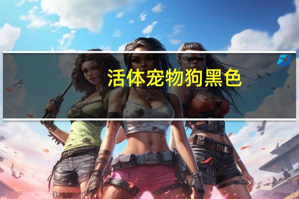 活体宠物狗黑色