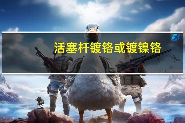 活塞杆镀铬或镀镍铬，NSS要求500小时，10级，出口欧洲。在江浙沪圈内是否有加工厂能达到