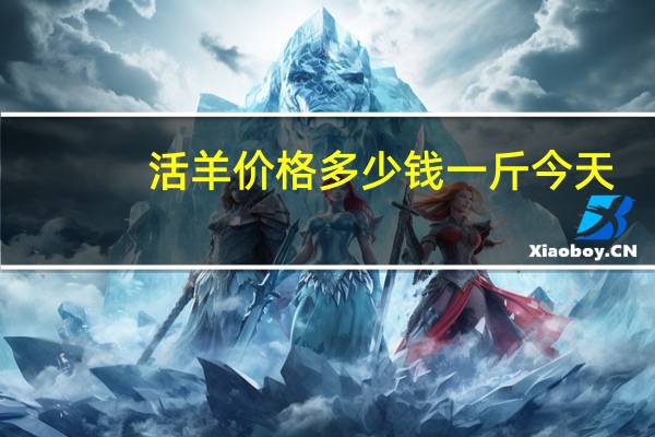 活羊价格多少钱一斤今天（活羊价格多少钱一斤）