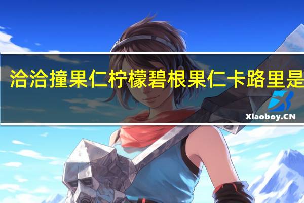 洽洽 撞果仁柠檬碧根果仁卡路里是多少
