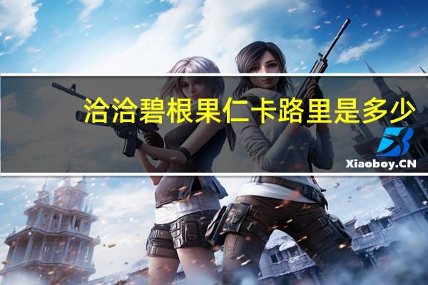 洽洽 碧根果仁卡路里是多少