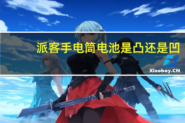 派客手电筒电池是凸还是凹