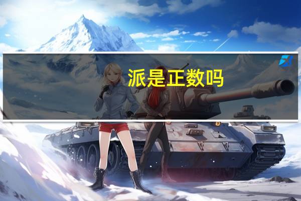 派是正数吗