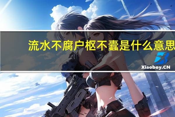 流水不腐户枢不蠹是什么意思