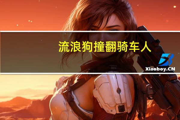 流浪狗撞翻骑车人，投喂者意外赔付六万