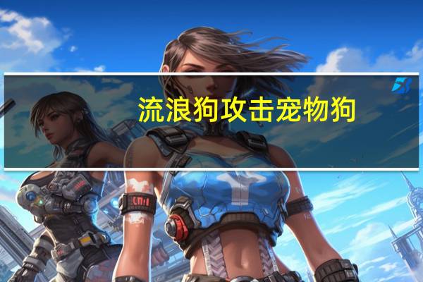 流浪狗攻击宠物狗