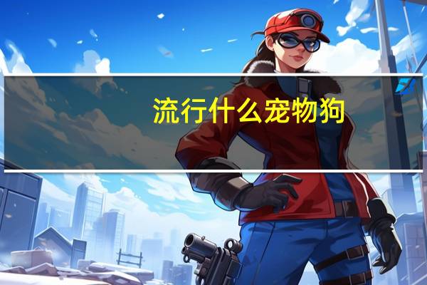 流行什么宠物狗