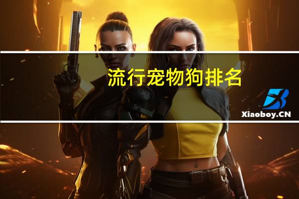 流行宠物狗排名