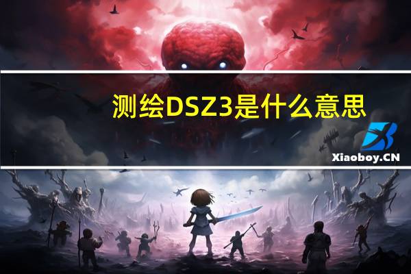 测绘DSZ3是什么意思