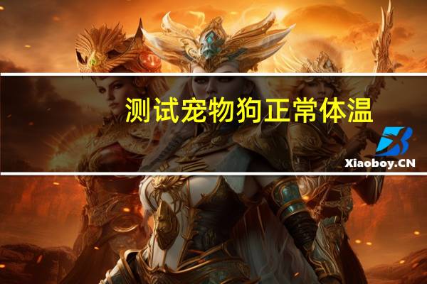 测试宠物狗正常体温