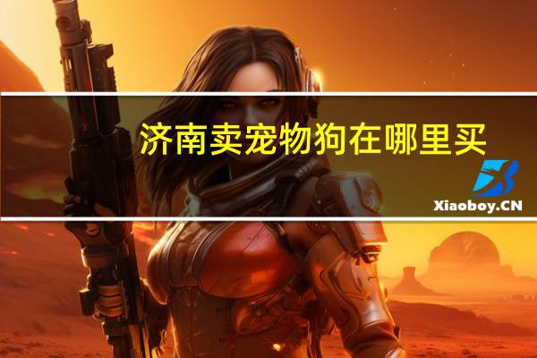 济南卖宠物狗在哪里买